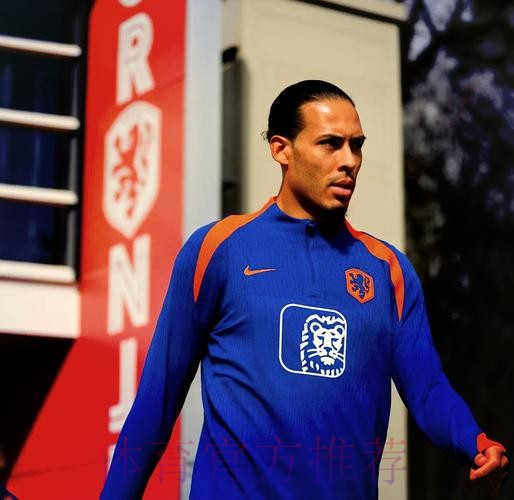 最新世界杯荷兰德布劳内阵容解析深度解读 最新世界杯荷兰德布劳内阵容解析深度解读